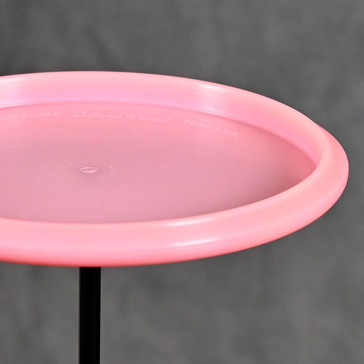 trash panda canyon rim side profile Rare Discs