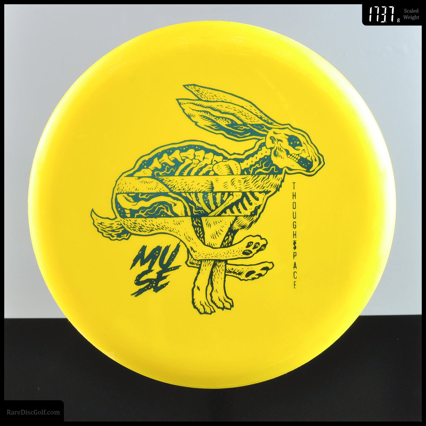 Thought Space Muse - Nerve 1st Run (Hard)