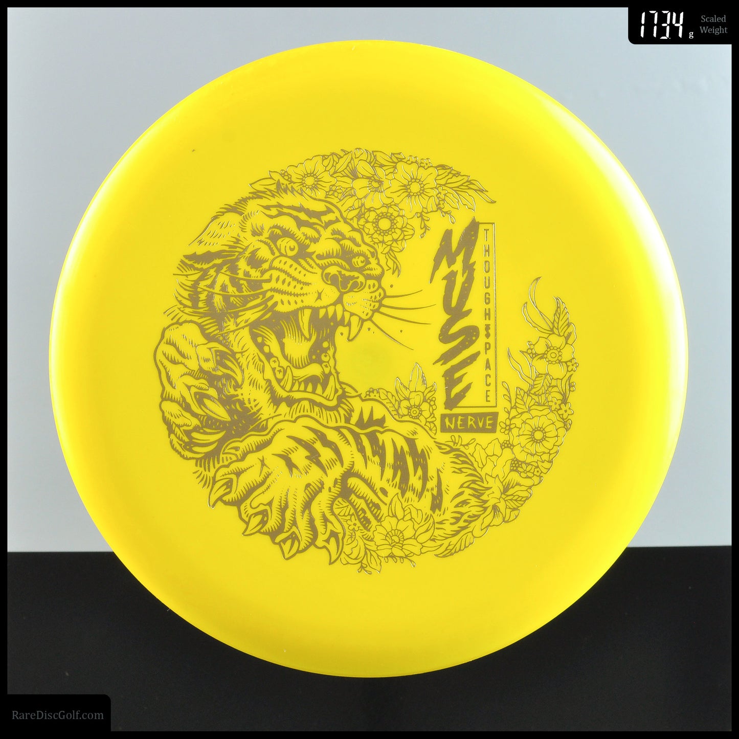 Thought Space Muse - Nerve 2nd Run