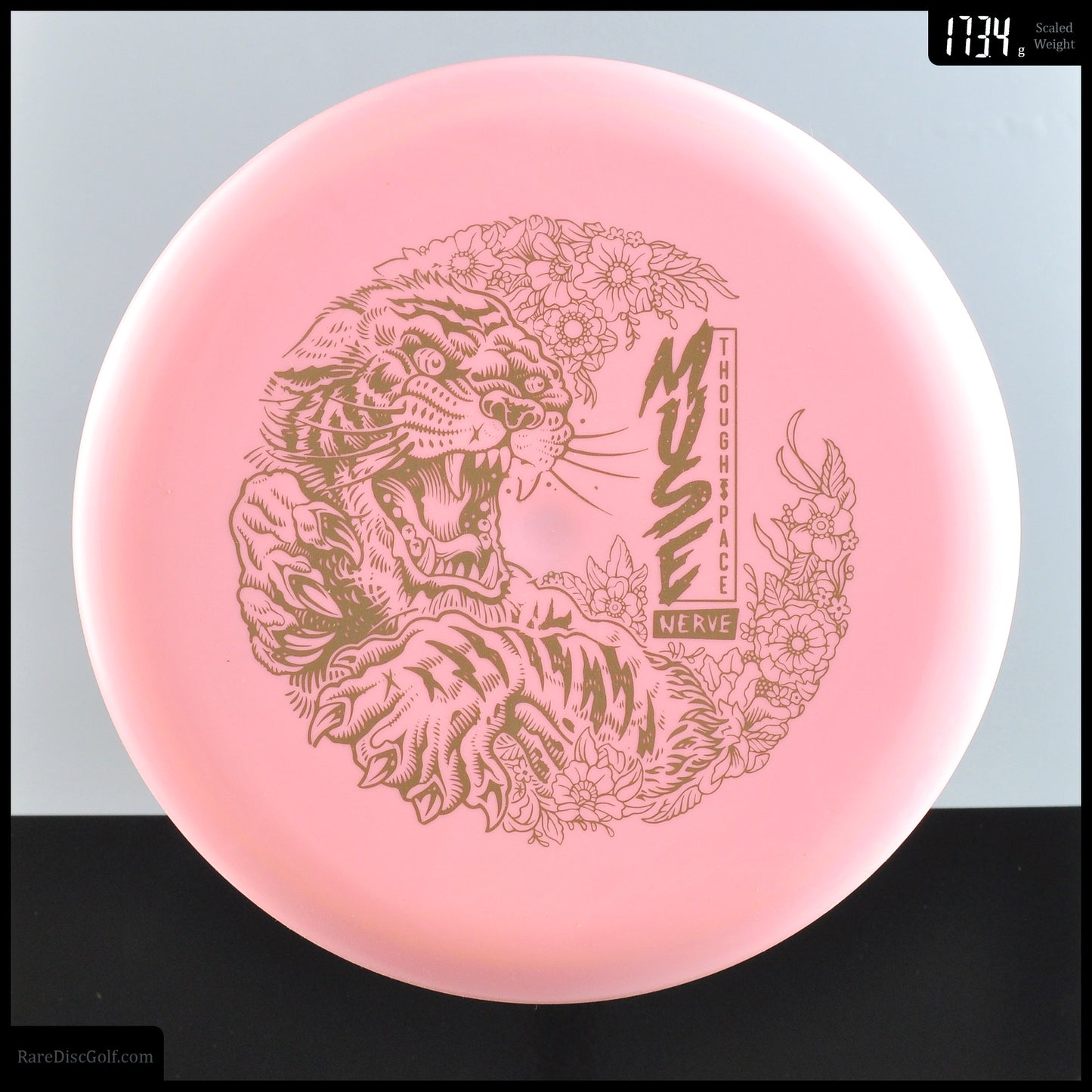 Thought Space Muse - Nerve 2nd Run