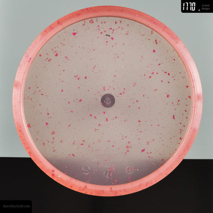 Trash Panda Canyon - Phone Case