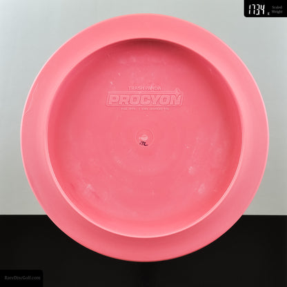 Trash Panda Procyon - Premium