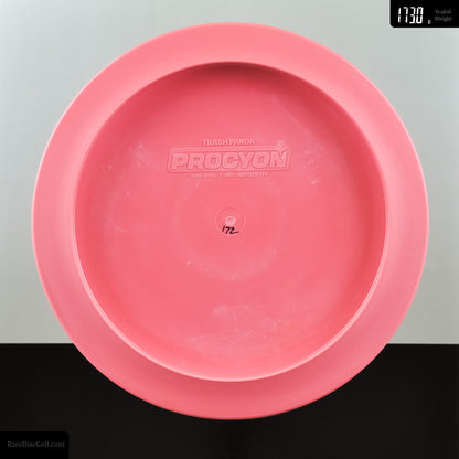 Trash Panda Procyon - Premium