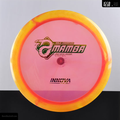 Innova Mamba - Halo Champion