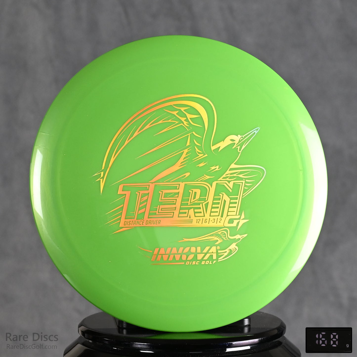 Innova Tern - Gstar