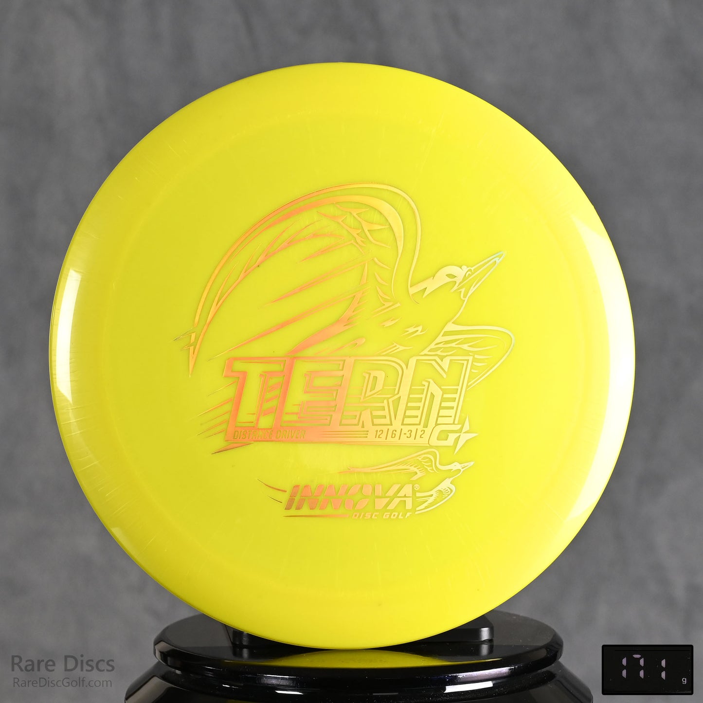 Innova Tern - Gstar