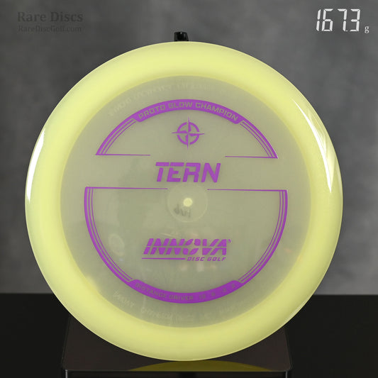 Innova Champion Glow Tern prototype protoglow Rare Discs Canada glow in the dark golf disc distance driver 