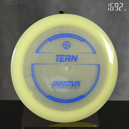 Innova Tern - Proto Glow Champion