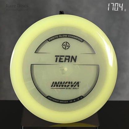 Innova Tern - Proto Glow Champion