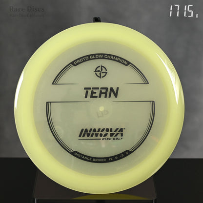 Innova Tern - Proto Glow Champion